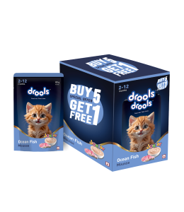 Drools OceanFish MousseKitten80gm(5+1)Pc