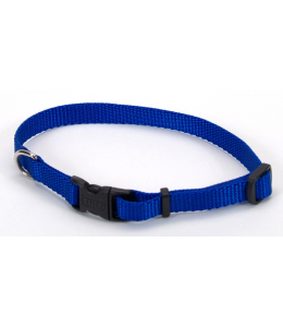 Coastal 3 and Tuff Dog Collar X-Small Blue