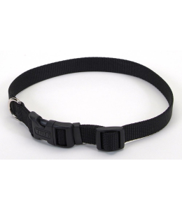 Coastal 1" Adj Dog Collar Medium Black