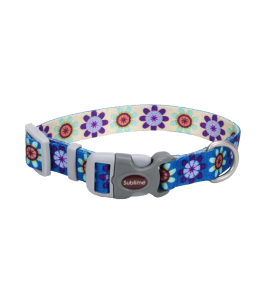 Coastal 3 4 and Sublime Dog Collar Flower Purple and Yellow Small Medium