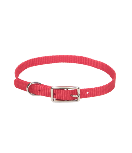 Coastal 3 and Safety Cat Collar Red