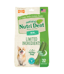 Nylabone Nutri Dent Fresh Breath 32 Count Pouch Mini