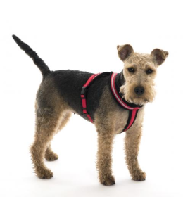 COA LFR4 Comfy Harness Red Small Size