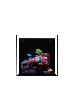 Waterbox Cube NANO 4- L 25CM X W 25CM X W 25CM-BLACK