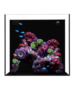 Waterbox CUBE 15- L 40CM X W 40CM X W 40CM-BLACK