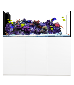 Waterbox Crystal PENINSULA 7226/7225+ Cabinet- L 180CM X W 65CM X W 60CM-WHITE
