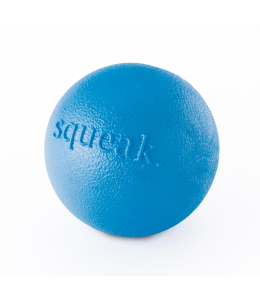 Planet Dog Squeak Ball Blu