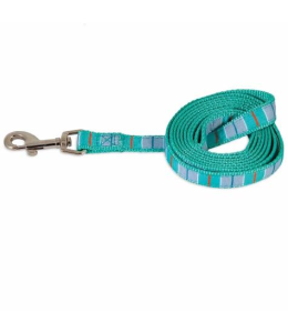 PETMATE ASPEN PET DOG LEASH 1"X6' TEAL STRIPE