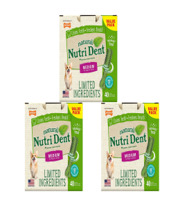 Nylabone Nutri Dent Fresh Breath Single Med