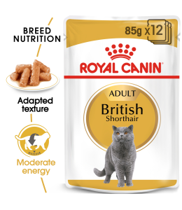Royal Canin Feline Breed Nutrition British Shorthair 85G (Wet Food )