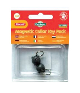 PetSafe Collar Key Pack - Silver