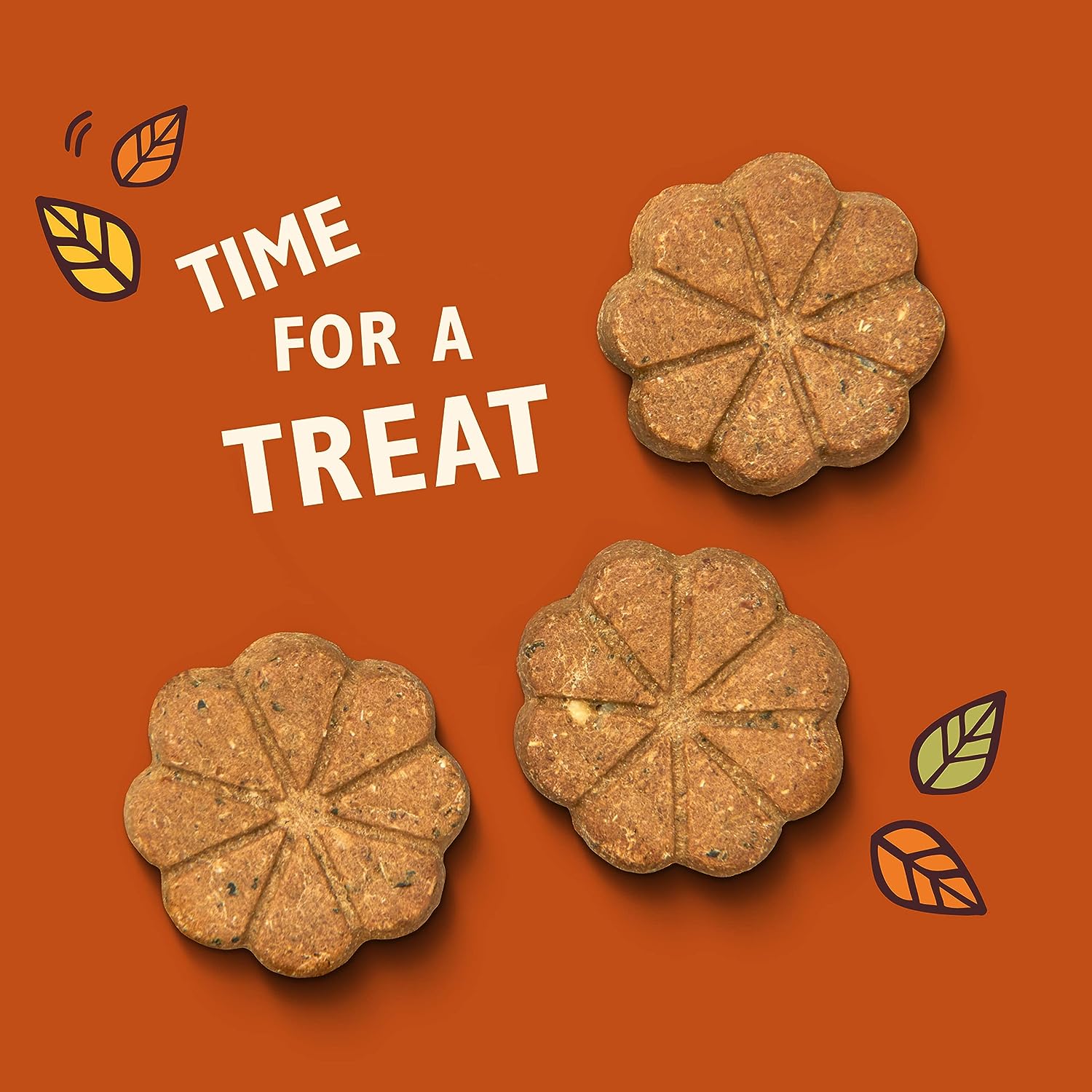 Lily&#039;s Kitchen Breaktime Biscuits Dog Treats (80g)