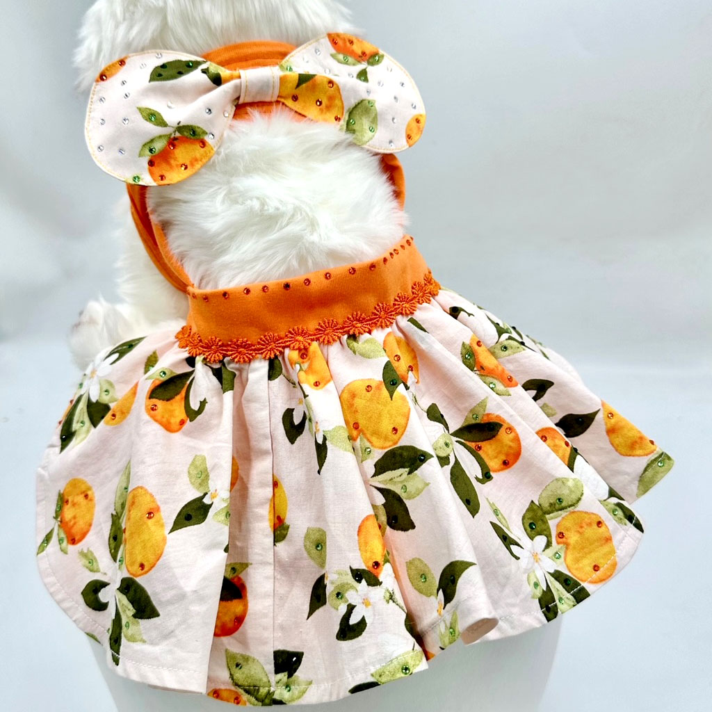 Coco Pets TUTU ORANGE- XSM