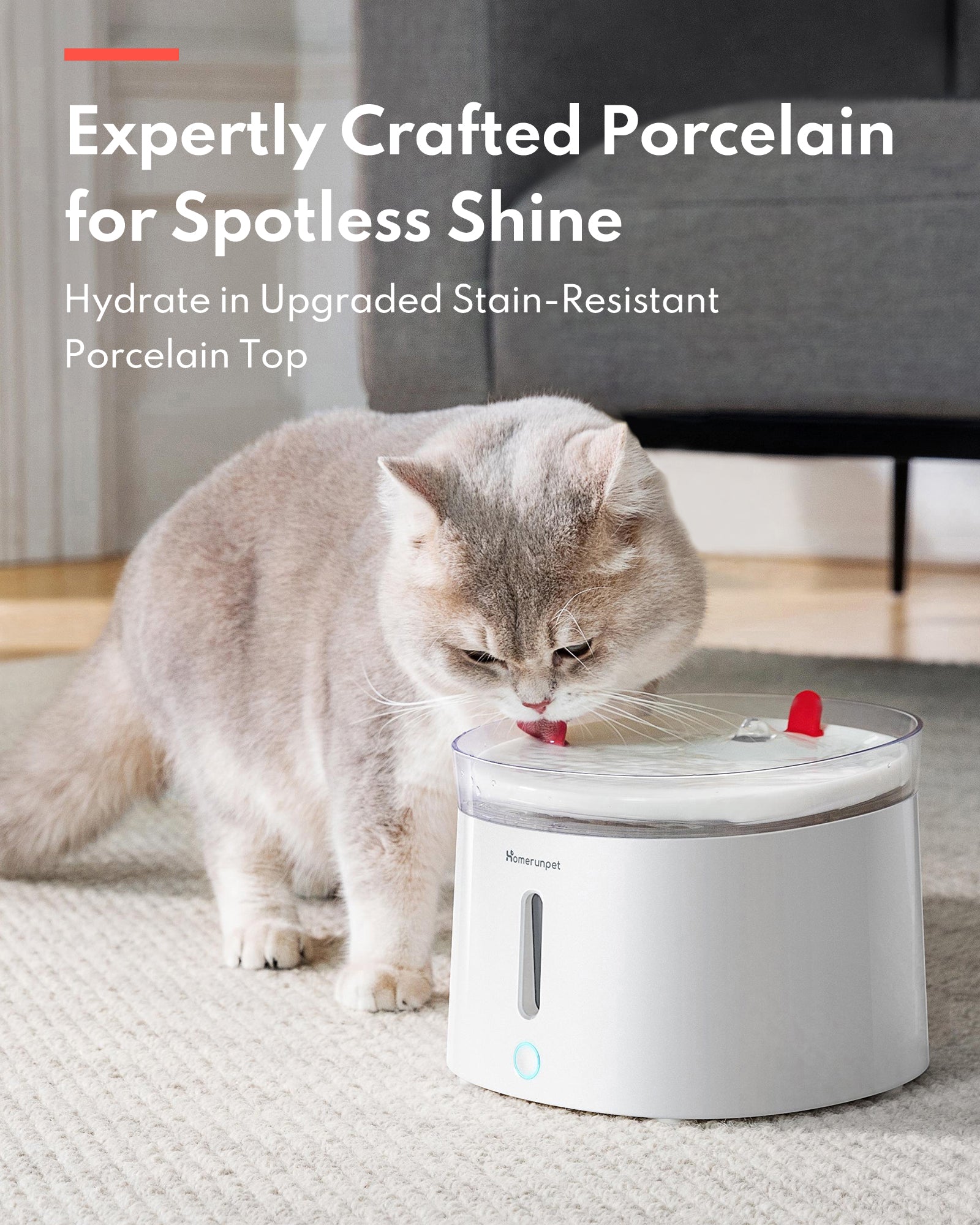 Homerunpet Holt Pet Fountain Porcelain top + UVC pump