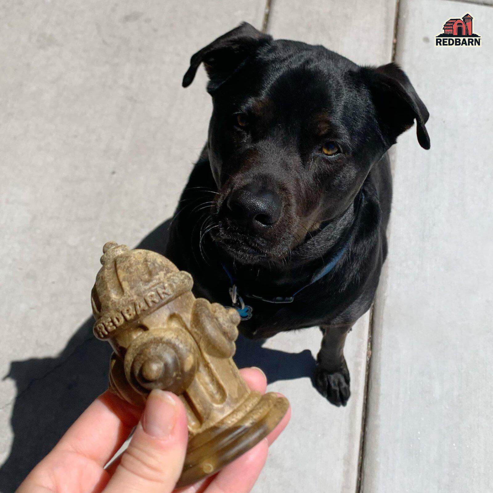 Red Barn Chew-A-Bulls Hydrant Small 24 Count