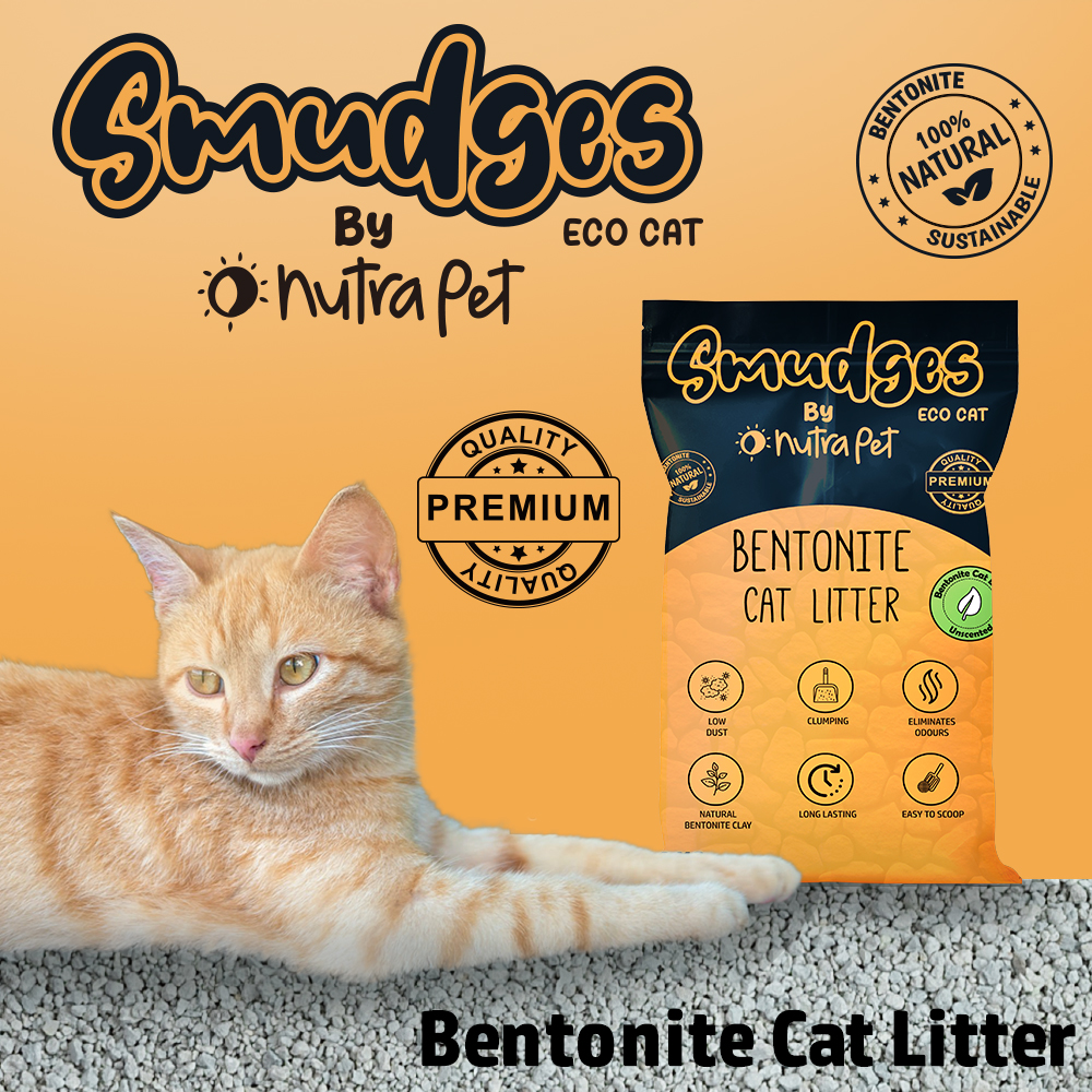 Smudges Eco cat Bentonite Clumping Cat Litter 20 Kgs- Coffee Scented