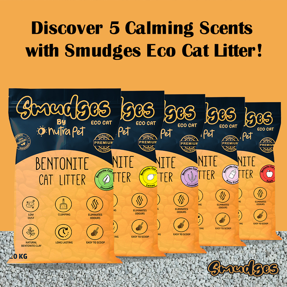 Smudges Eco cat Bentonite Clumping Cat Litter 20 Kgs- Coffee Scented