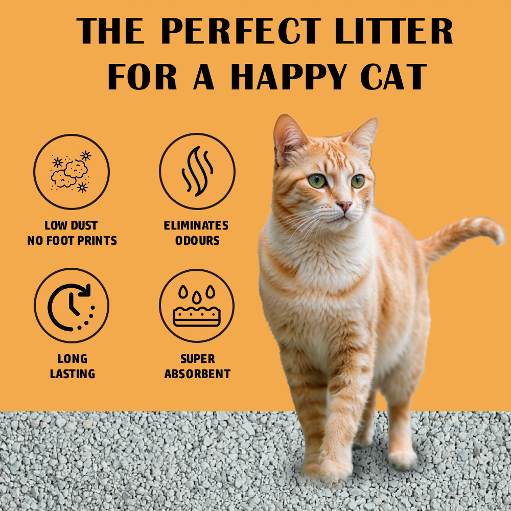 Smudges Eco cat Bentonite Clumping Cat Litter 20 Kgs- Coffee Scented