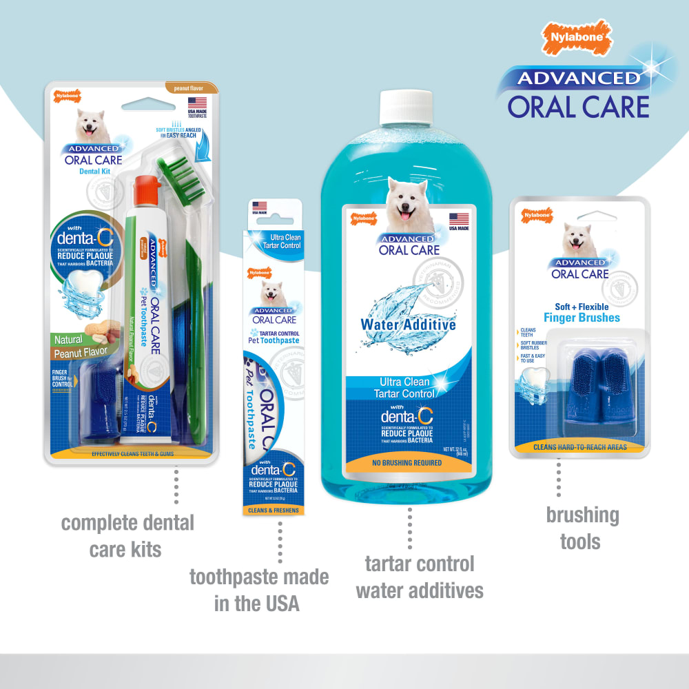 Nylabone Advanced Oral Care Cat Dental Kit One Size Dental Hygiene
