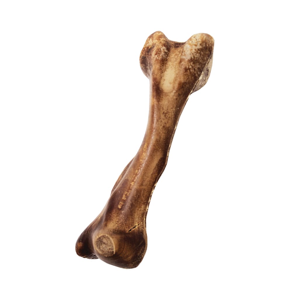 Nylabone Healthy Edibles Wild Venison 1Ct Card Large Edible Treats