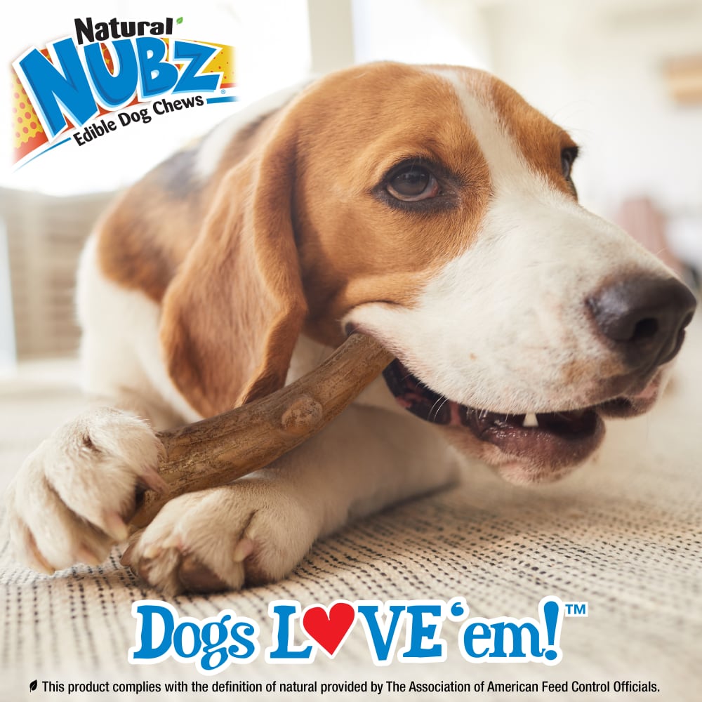 Nylabone Nubz Wild Antler Venison 2Ct Card Medium Edible Treats