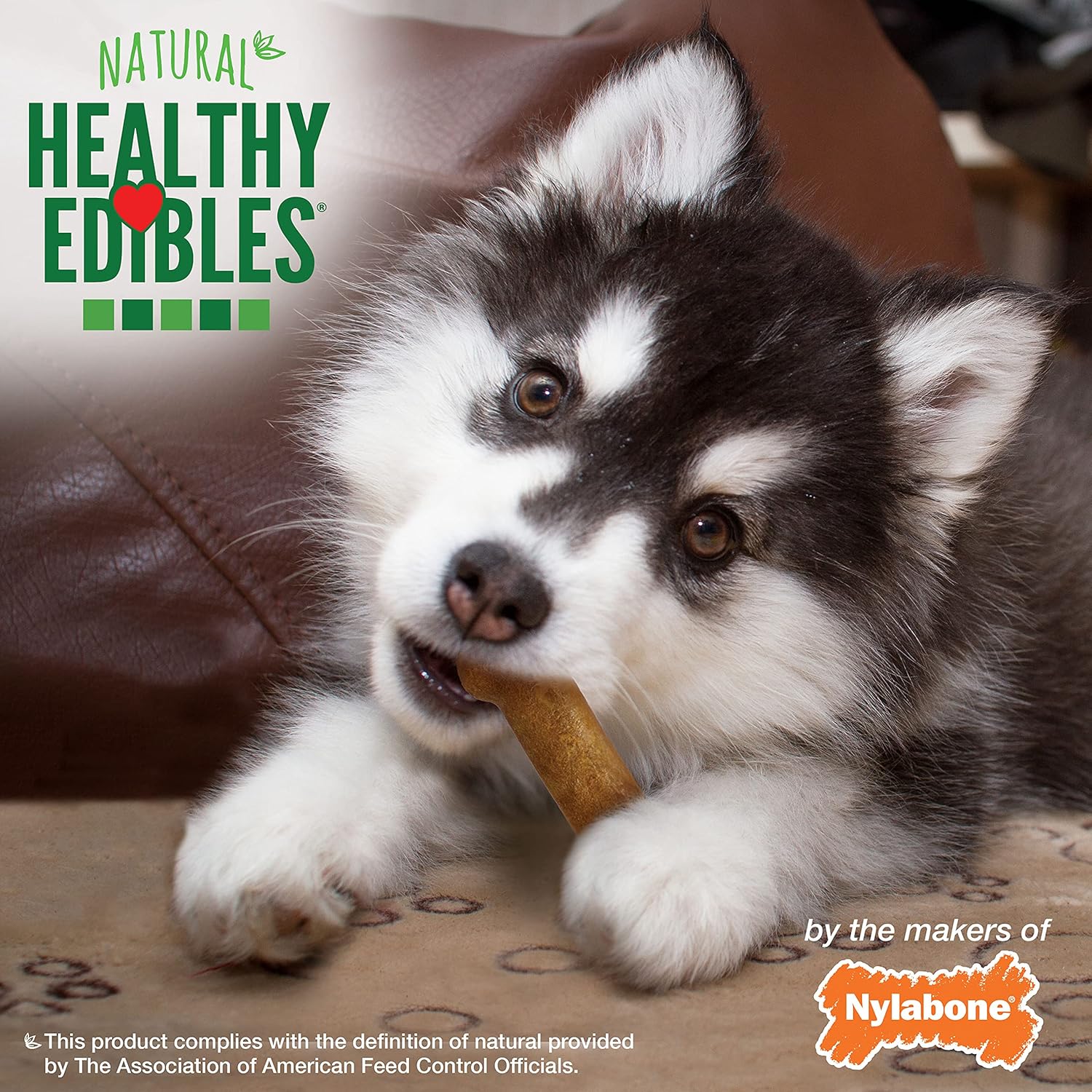 Nylabone Healthy Edibles Puppy Lamb & Apple 4Ct Card  Petite Edible Treats