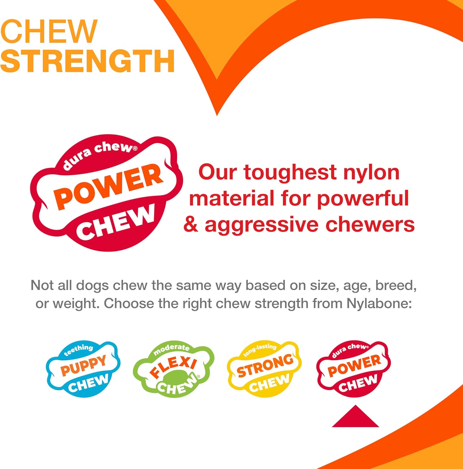 Nylabone Power Chew Bone, Chicken Petite Dog Chews Toy