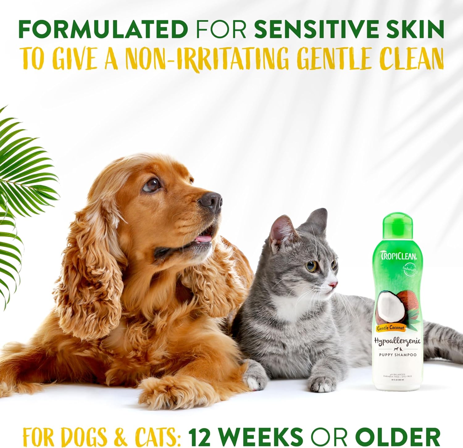 TropiClean Gentle Coconut Hypoallergenic Puppy and Kitten Shampoo, 12oz