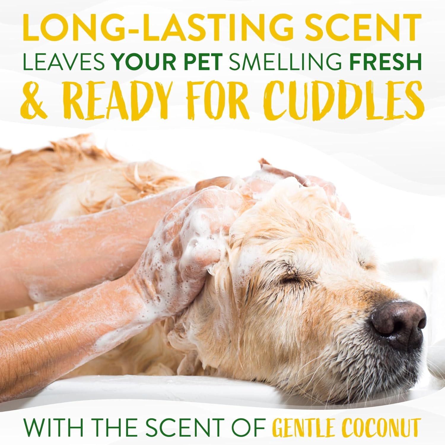 TropiClean Gentle Coconut Hypoallergenic Puppy and Kitten Shampoo, 12oz