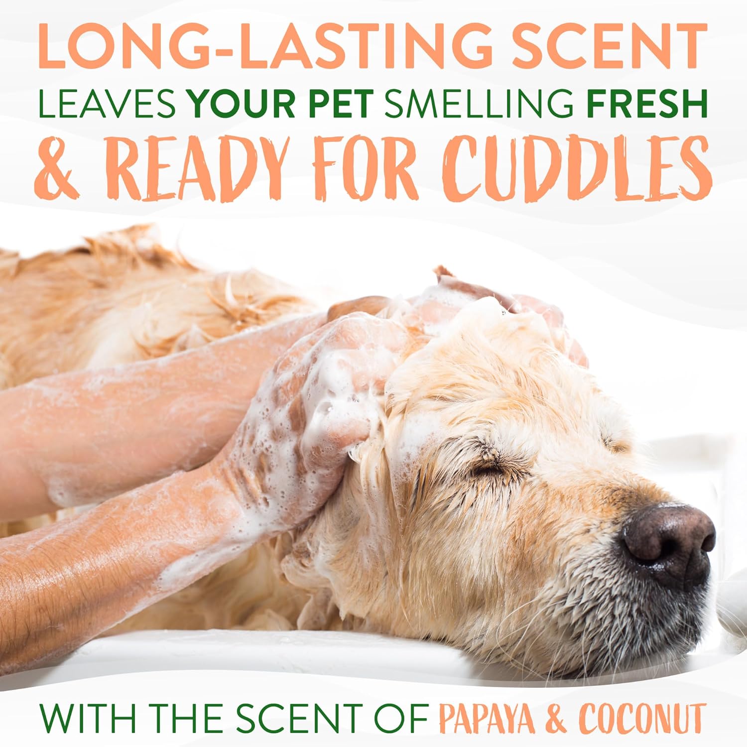 TropiClean Papaya & Coconut Luxury 2-in-1 Shampoo and Conditioner for Pets, 20oz