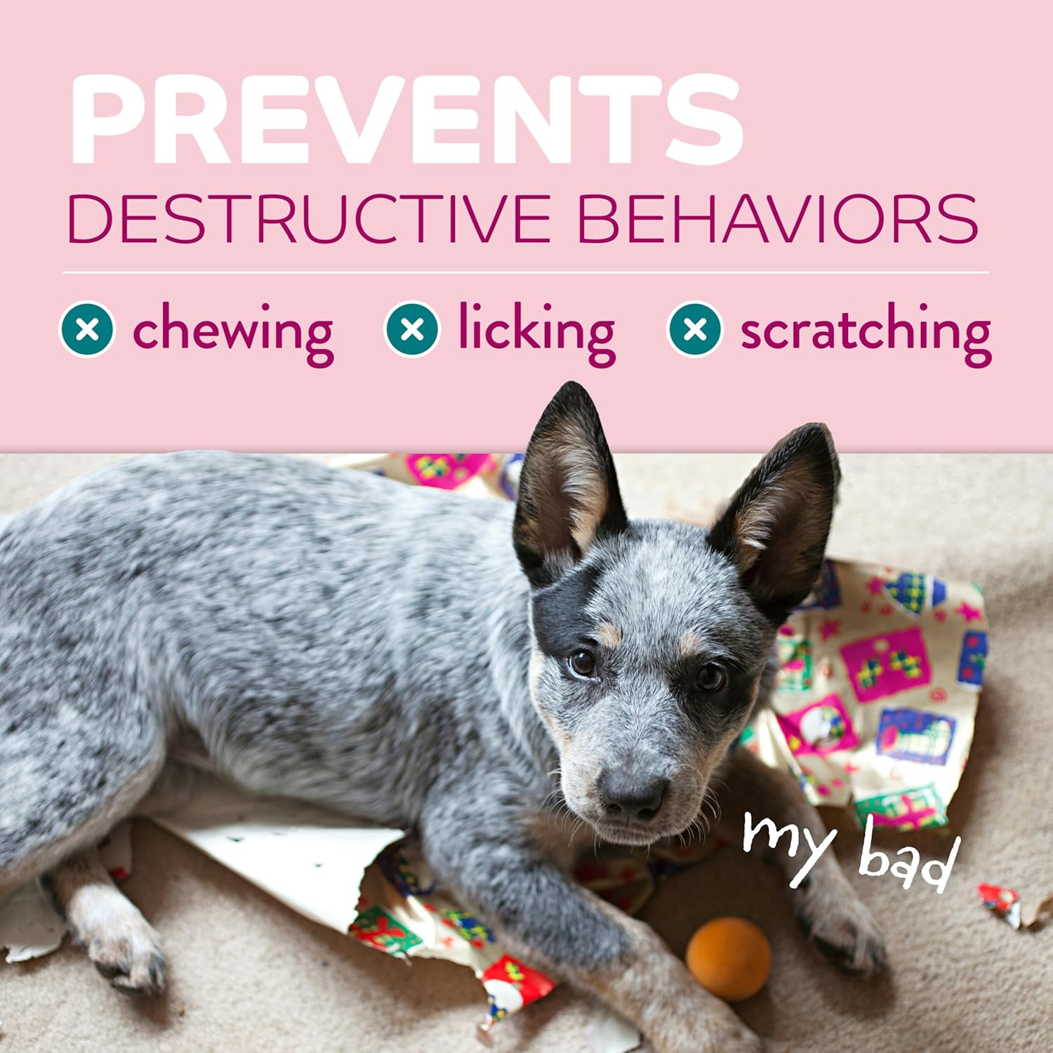 TropiClean Chew Stop Behavior Aid Puppy Spray, 8oz