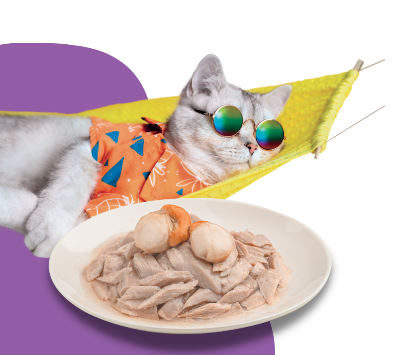 Moochie Cat Food Tuna & Scallop Recipe in Jelly Pouch 70g Pack of 12