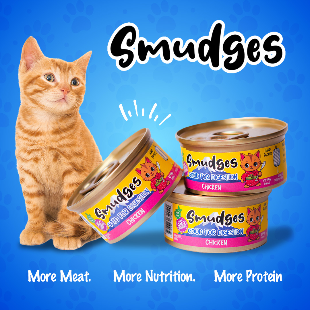 Smudges Adult Cat Chicken Flakes With Tuna In Soft Jelly 80g Pack of 12