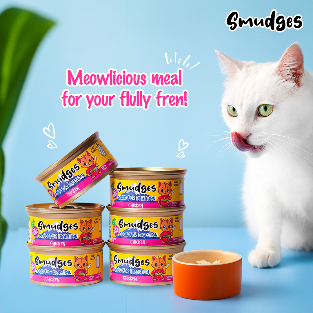 Smudges Adult Cat Chicken Flakes With Tuna In Soft Jelly 80g Pack of 12
