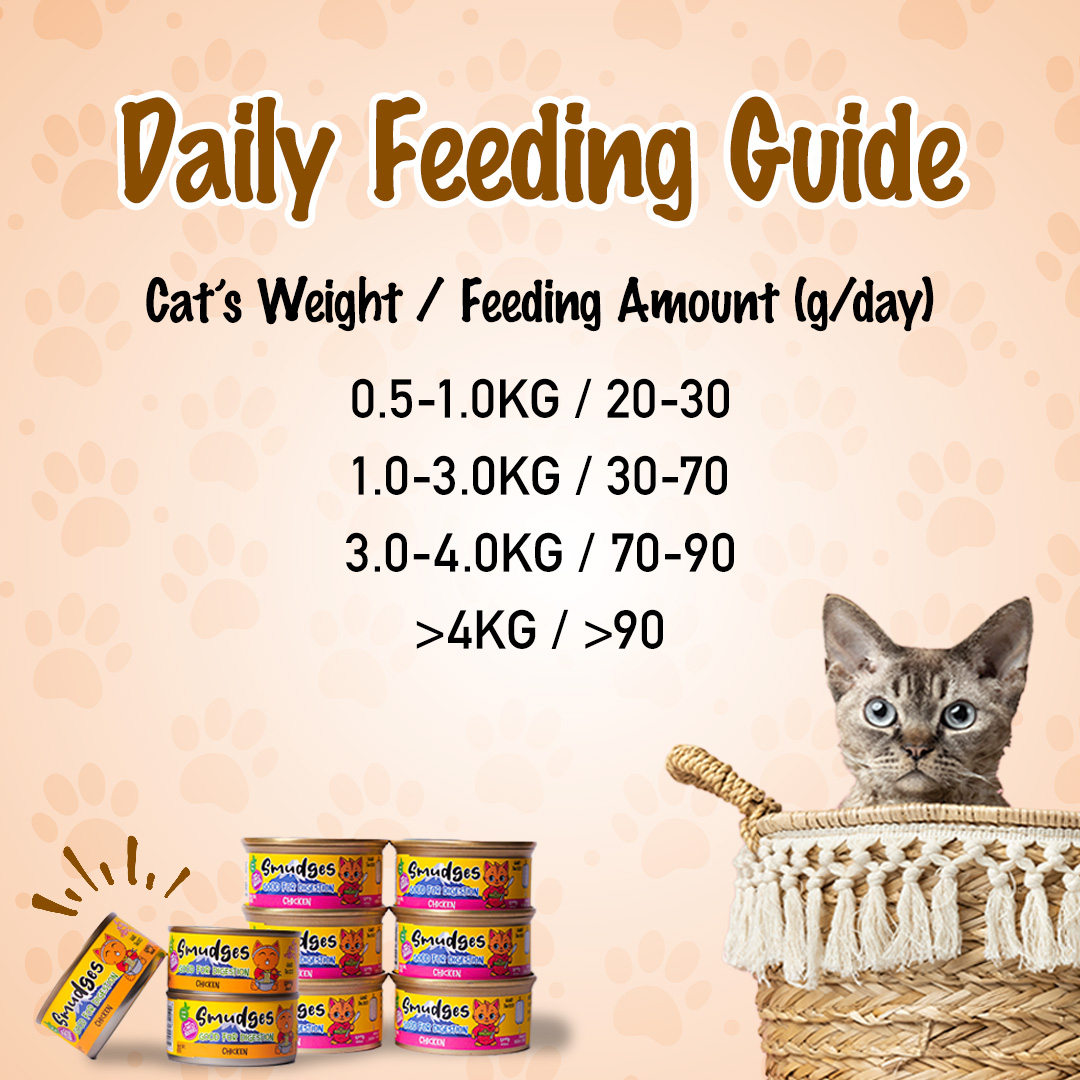 Smudges Adult Cat Tuna with Crabsticks in Gravy 80g Pack of 12
