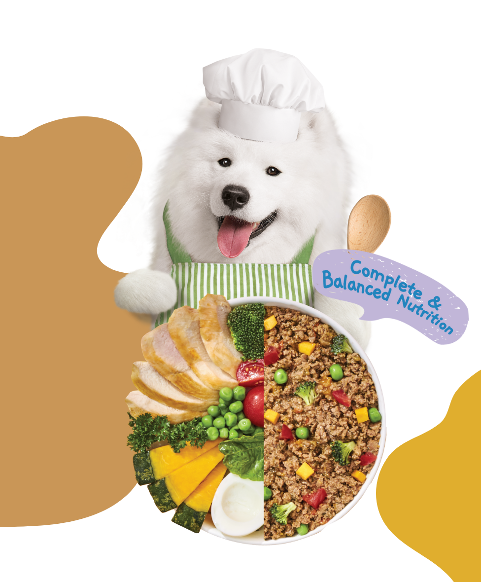 Moochie Home Cooked Dog Food - Beauty Skin & Coat - Chicken, Pumpkin & Tomato Recipe 255g With Superfood Pack of 12