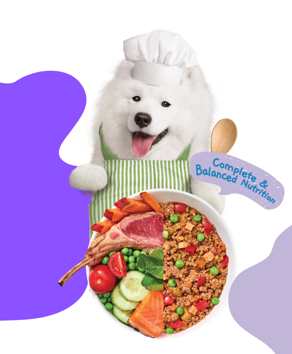 Moochie Home Cooked Dog Food - Joint and Bone - Lamb, Sweet Potato & Spinach Recipe 255g Pack of 12