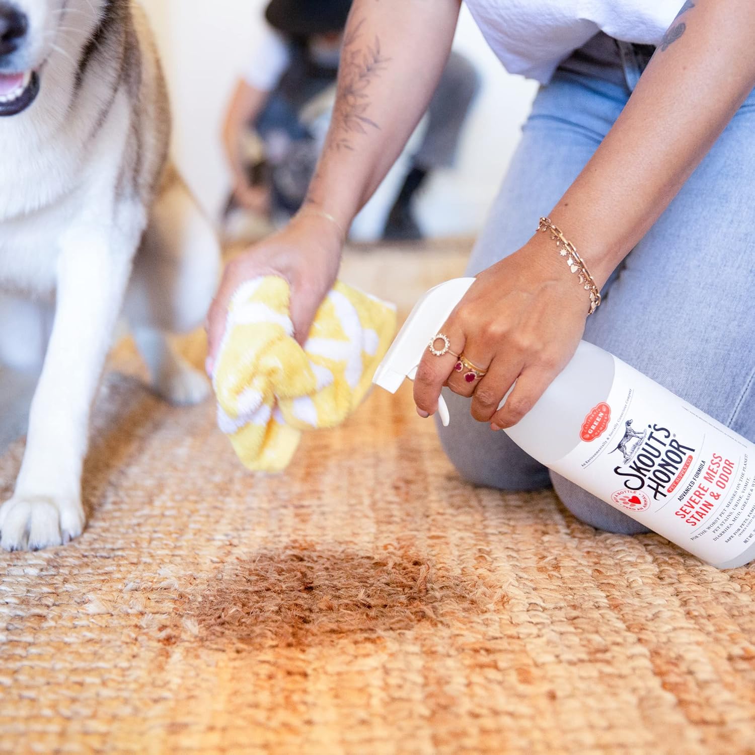 Skouts Honor Stain & Odor Severe Mess Advanced Formula DOG  1 Liter Pet Essentials