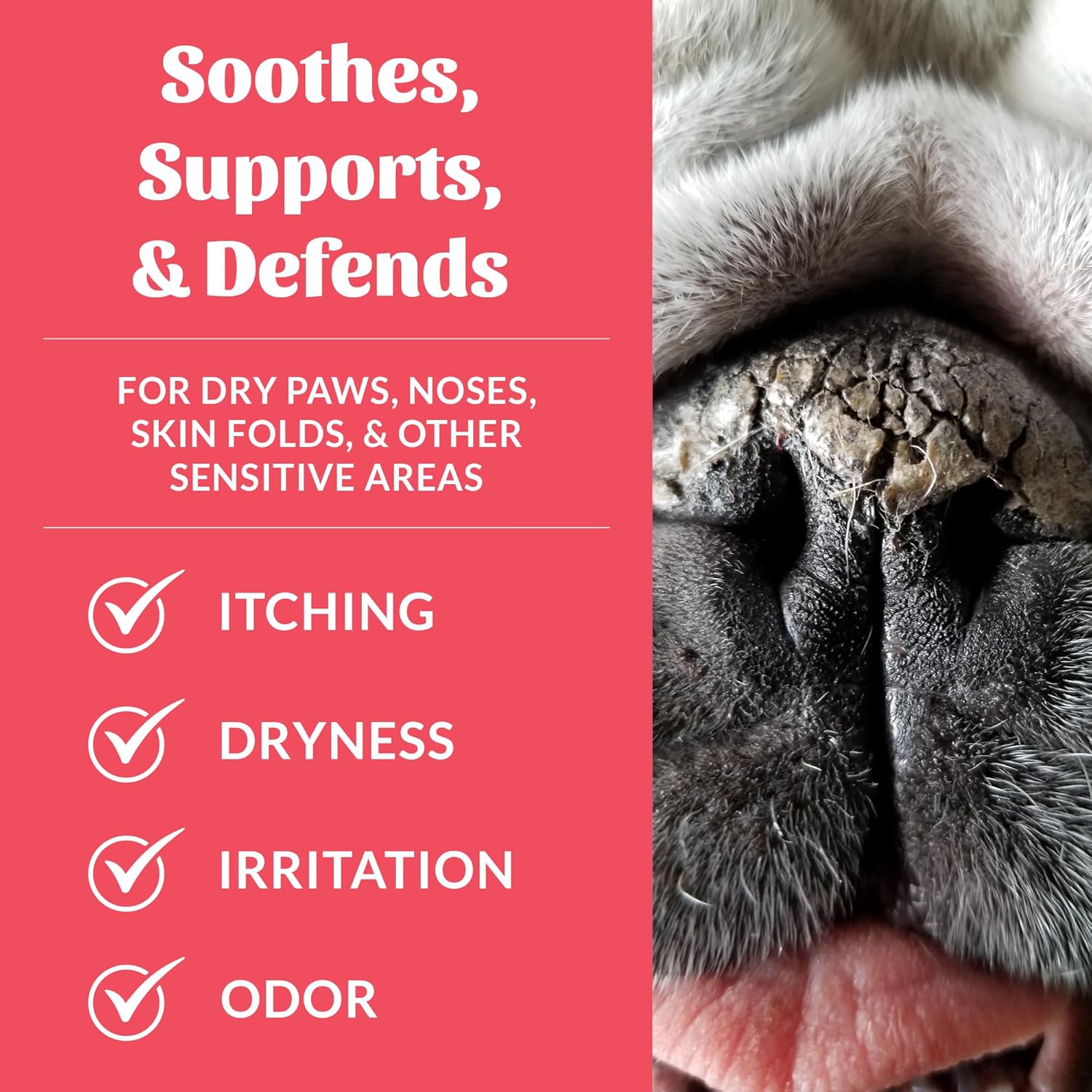 Skouts Honor Prebiotic Pet Balm  60Ml/2OZ Pet Essentials & Wellness