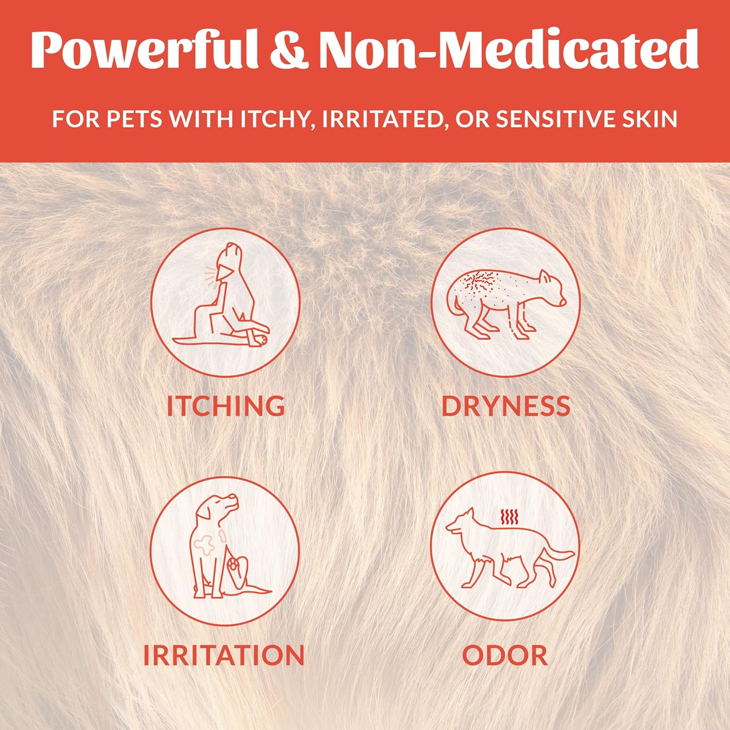 Skouts Honor Probiotic Itch Relief Shampoo  475ML/16Oz Pet Essentials & Wellness