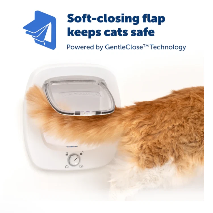 Pet Safe Big Cat Door 2.0 Cat Flaps and Pet Doors