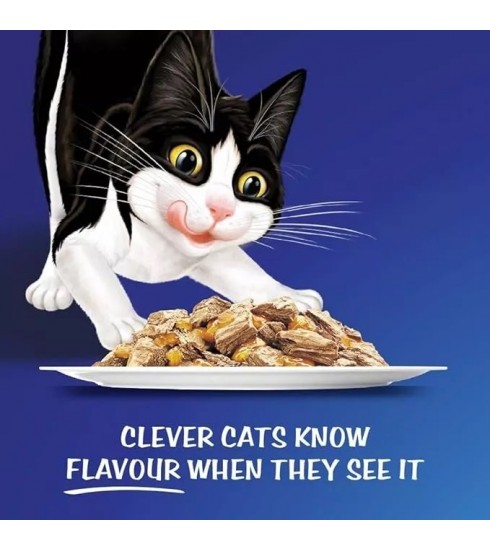 Nestle Purina Felix As Good As It Looks Wet Food Menus in Jelly for Kittens (Up to 1 Year) 12 x 85g
