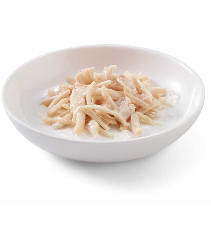 Schesir Kitten Care 3-12 in Jelly Chicken Pouch 85g