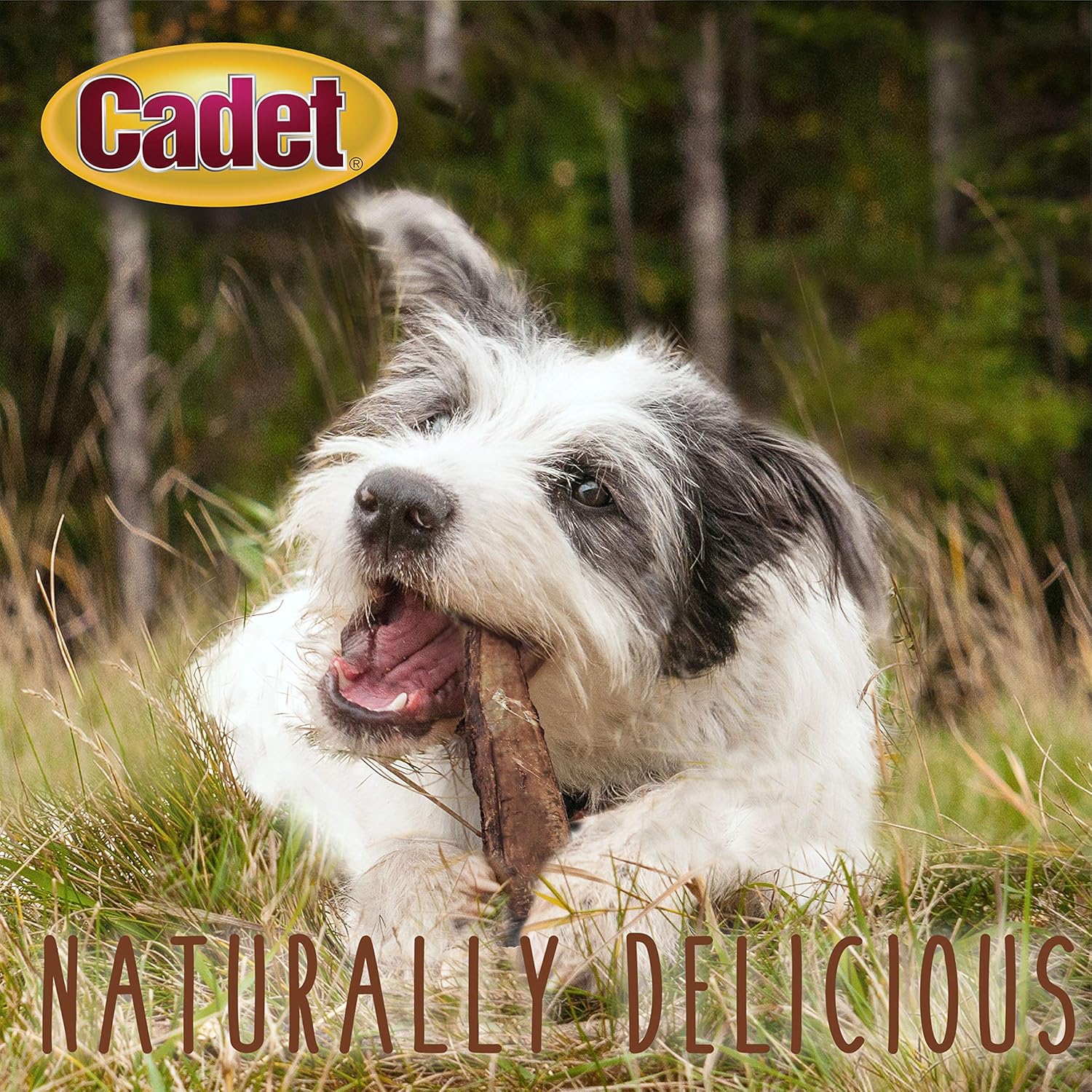 Cadet 3 pk. Rib Bone  Dog Treats & Chews
