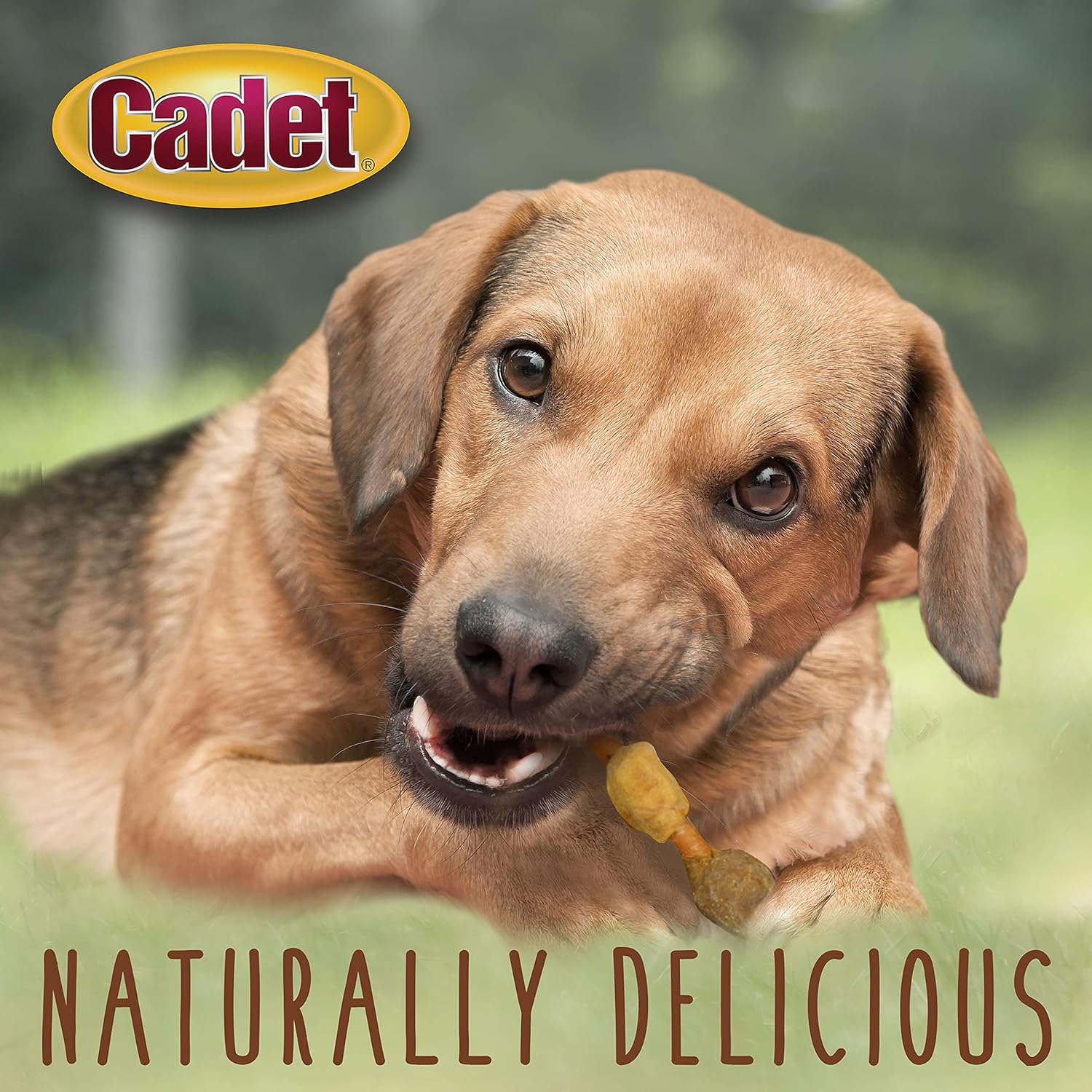 Cadet Pork Hide Shish Kabobs 18pk Dog Treats & Chews
