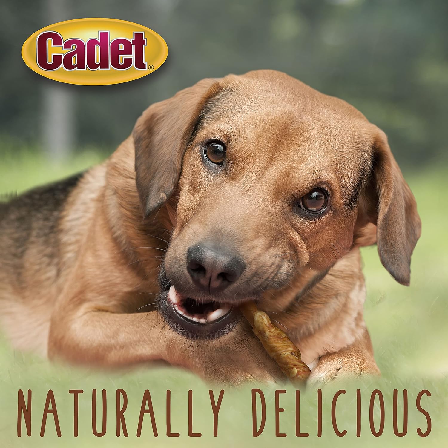 Cadet Pork Hide & Chicken Twists 22pk  Dog Treats & Chews