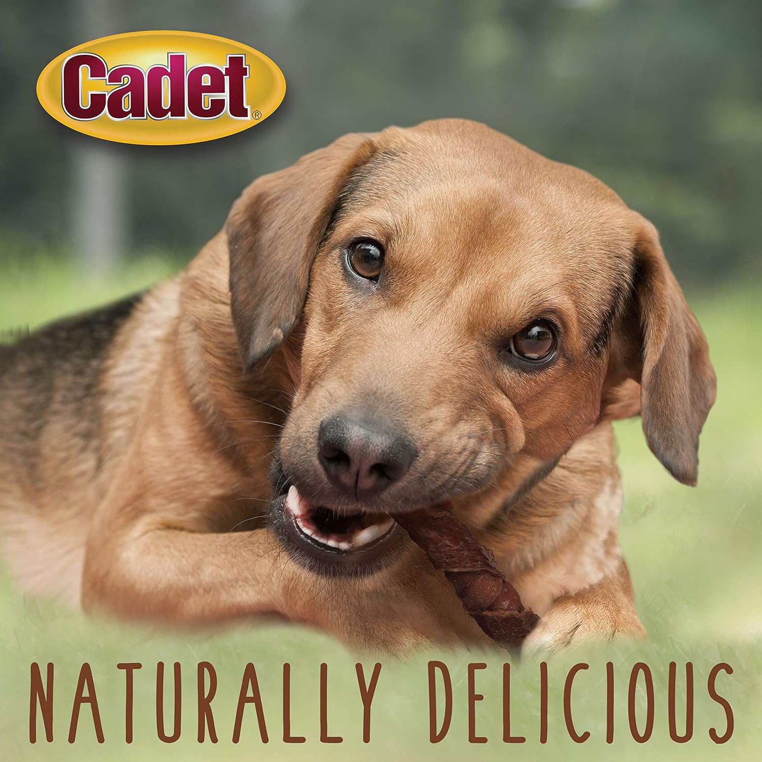 Cadet 6 pk. Duck & Apple Triple Chew Treat  Dog Treats & Chews