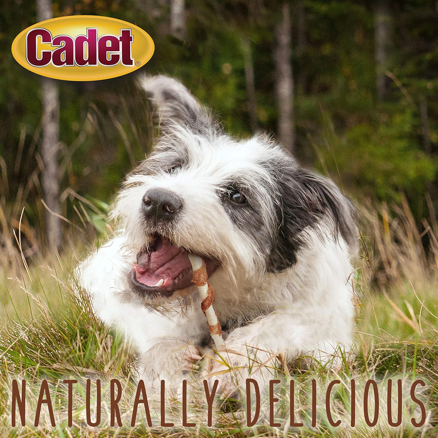Cadet 14 pk. Beef Hide (Rawhide) and Chicken Twists  Dog Treats & Chews