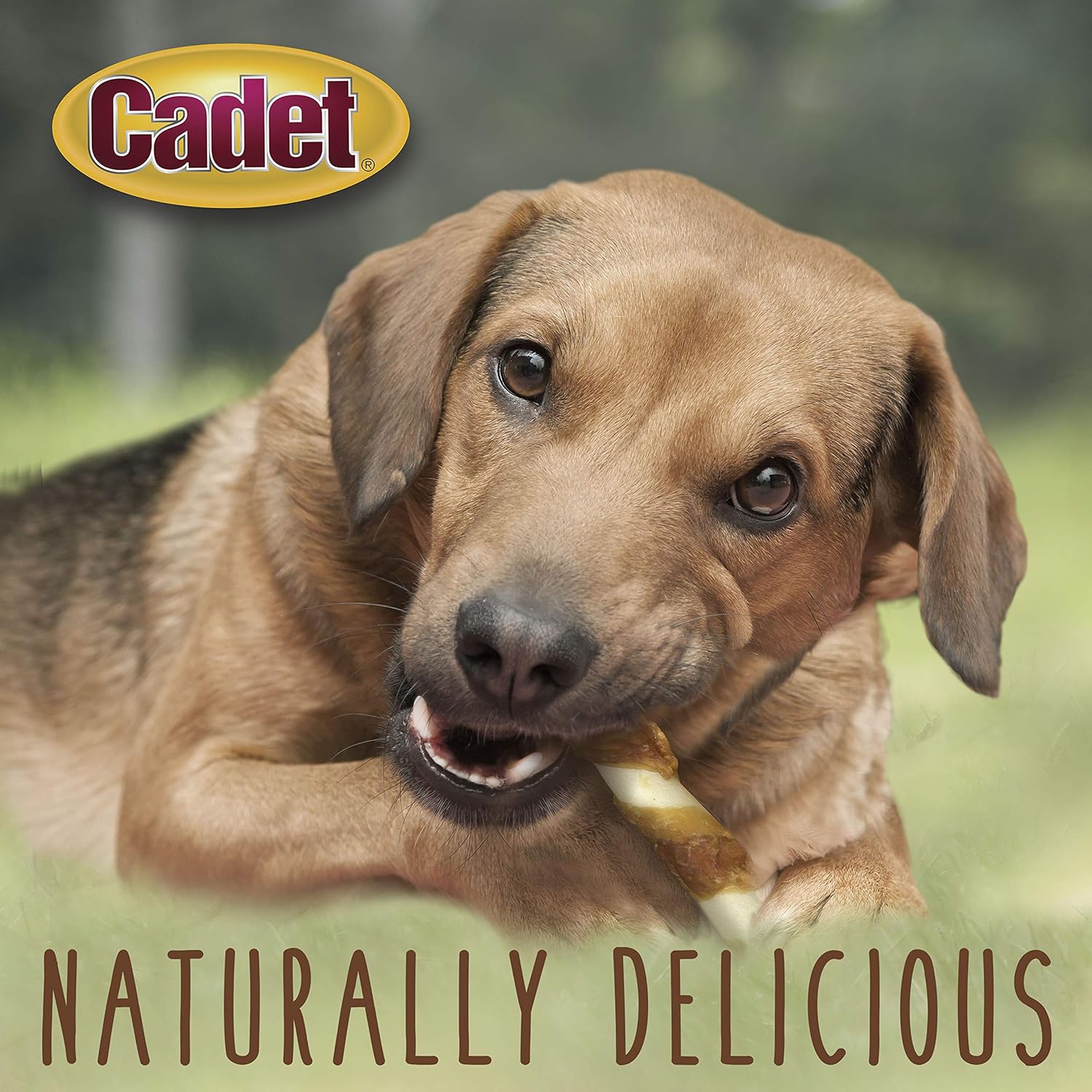 Cadet 6 pk. Large Beef Hide (Rawhide) and Chicken Twists Dog Treats & Chews