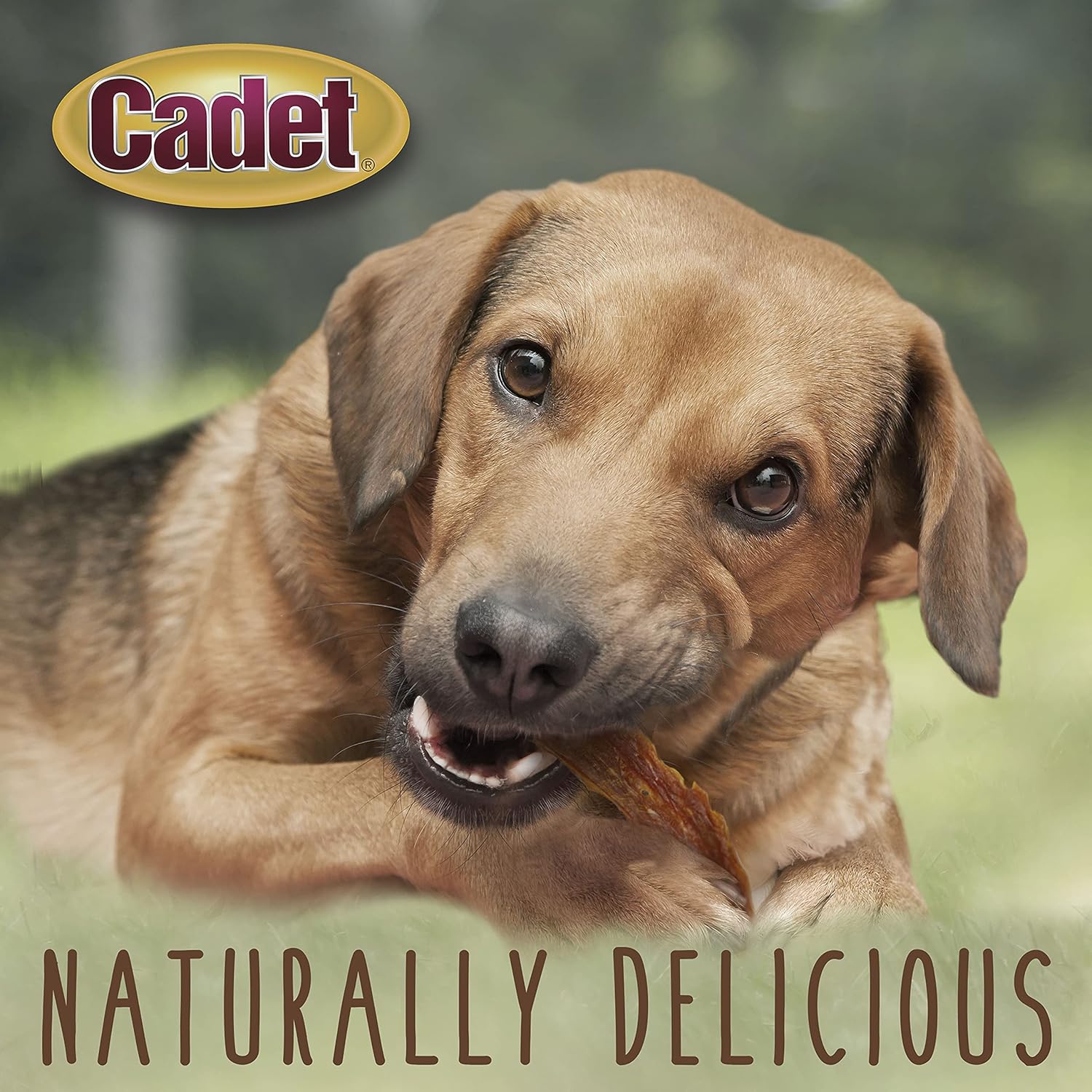 Cadet 3 oz. Duck Breast  Dog Treats & Chews